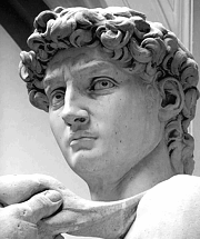 David