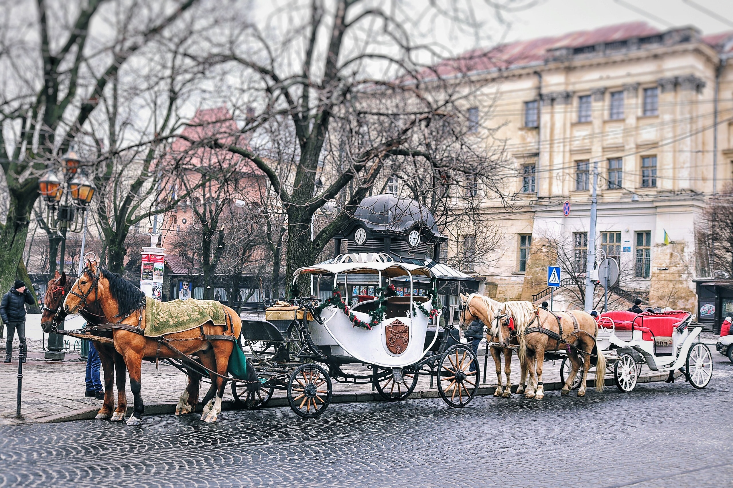 Carro de caballos