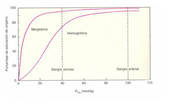Gráfico