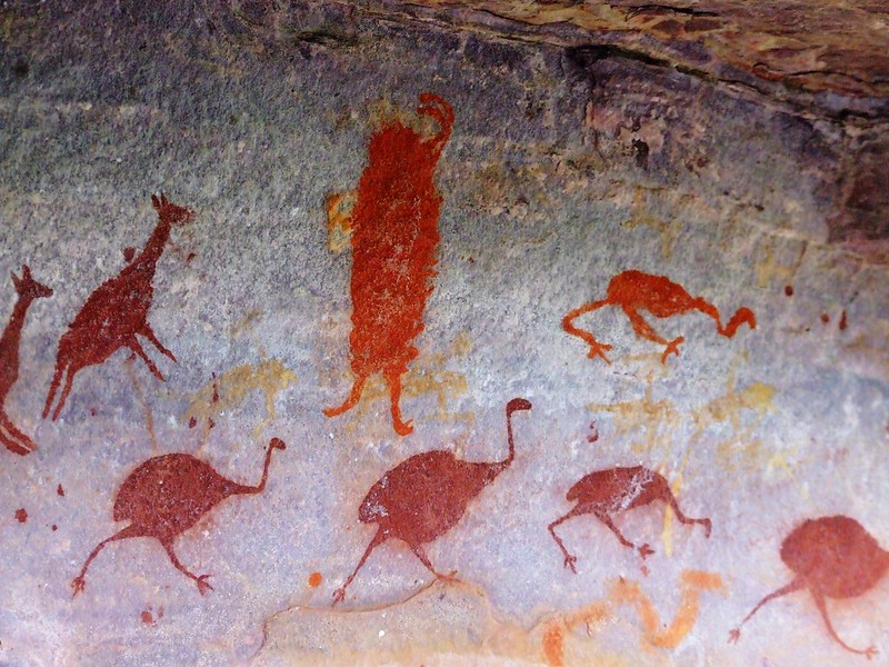 La imagen muestra pinturas rupestres de color rojo sobre un muro de piedra en las que aparecen aves similares a avestruz sy otros animales similares a jirafas.