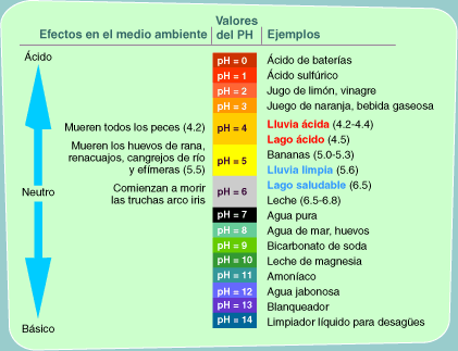 pH tabla ilustrativa con ejemplos de la escala del pH