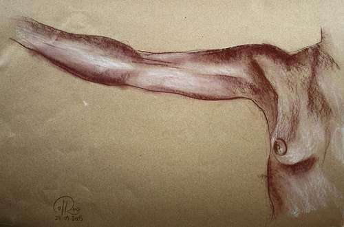 Brazo