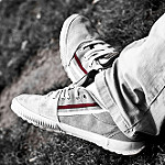 pies