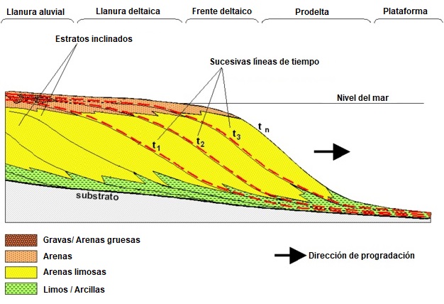 Sección longitudinal de un delta