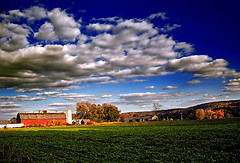 Granja, ejemplo de sector primario