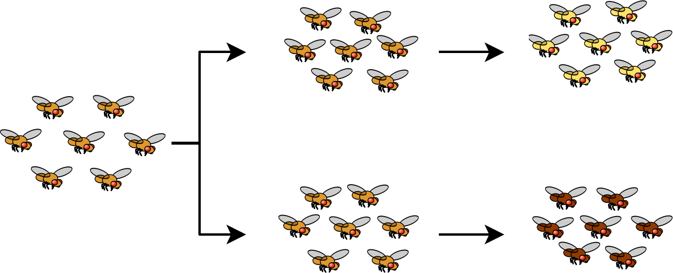 Evolución de dos poblaciones