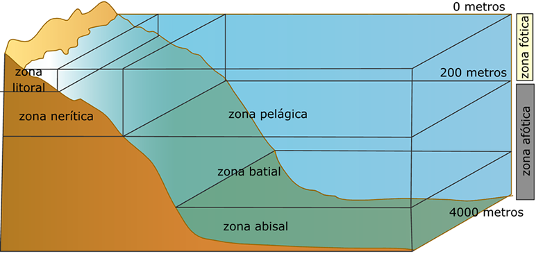 Zona marinas