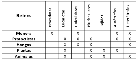 tabla de clasificacion de los hongos del reino