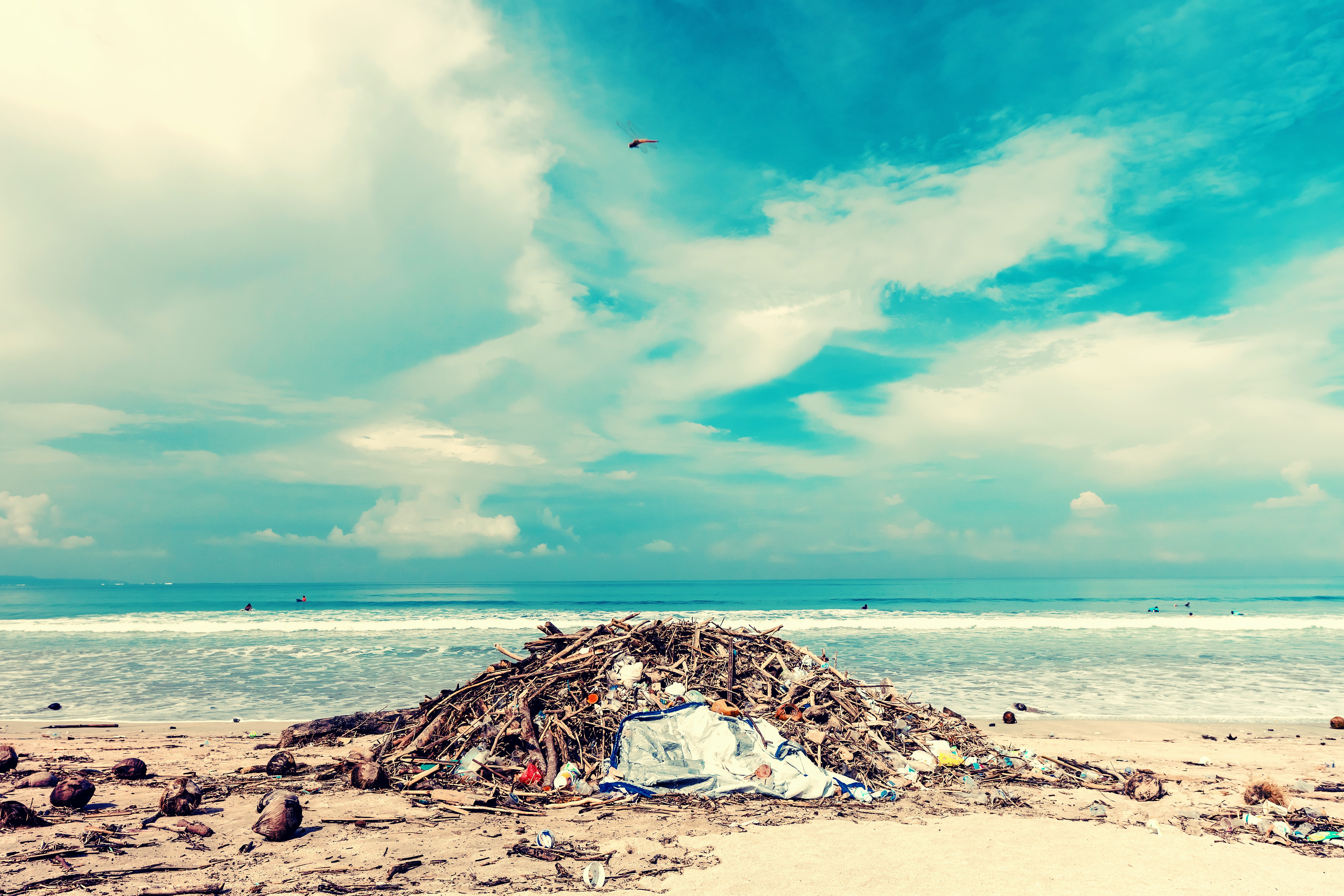 Imagen de una playa con un montón de basura