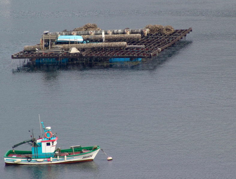 Piscicultura: bateas para el cultivo de mejillones