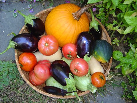 La agricultura ecológica va ganando importancia paulatinamente