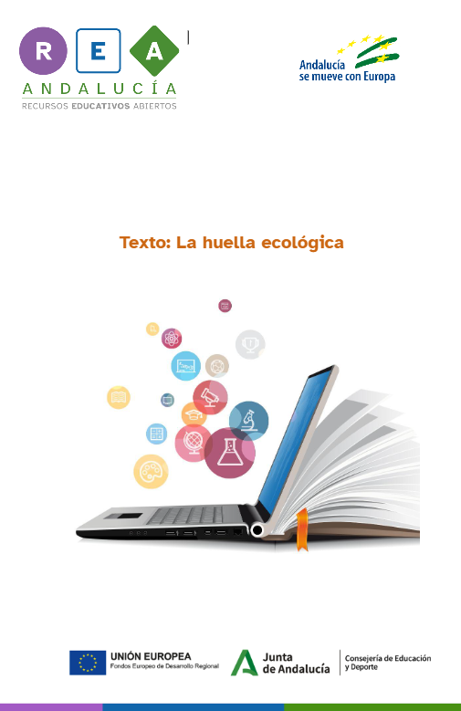 Plantilla