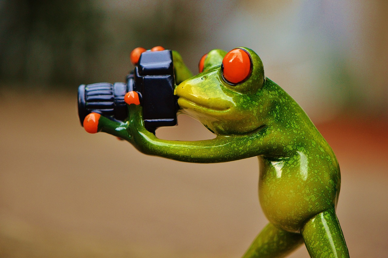 Rana tomando fotos