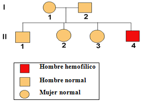 Herencia hemofilia