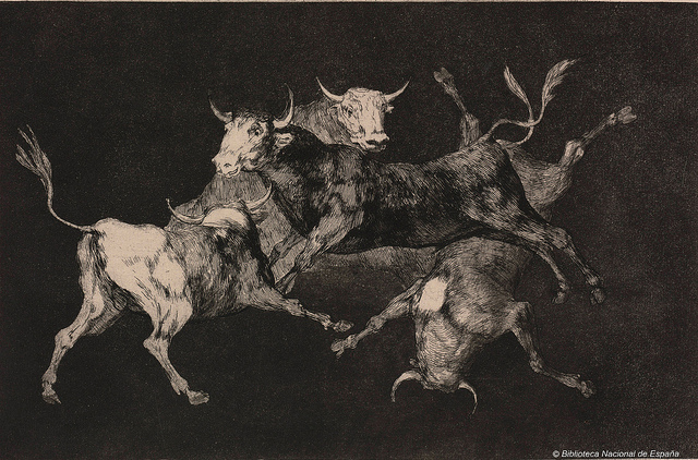Lluvia de toros, aguatinta de Goya