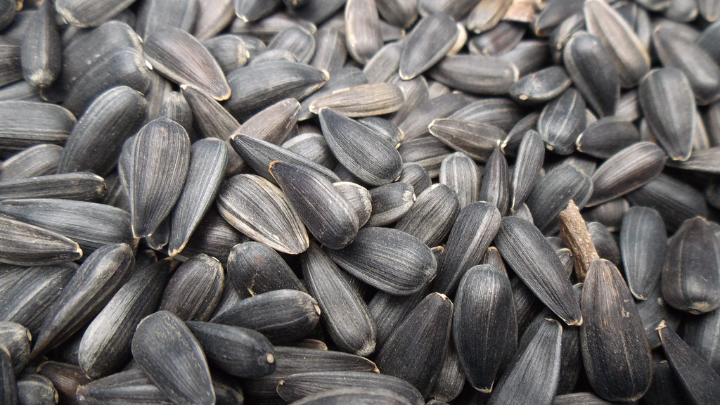 La imagen muestra semillas de girasol (pipas)