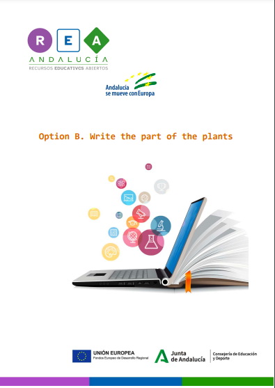 Write the parts of a plant