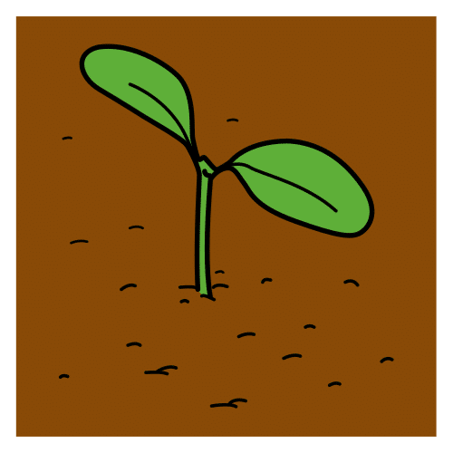 Una planta comienza a nacer de la tierra.