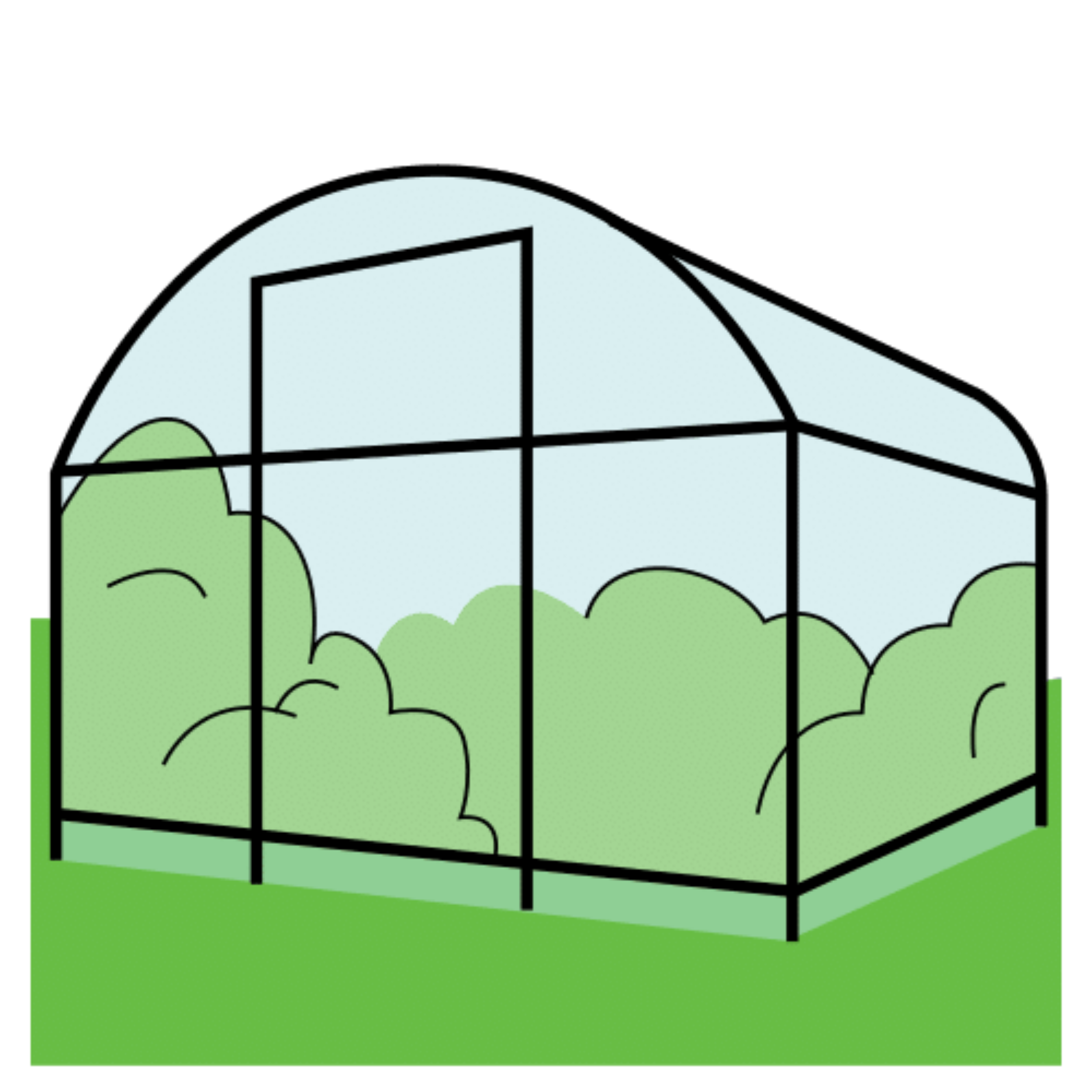 La imagen muestra un invernadero.