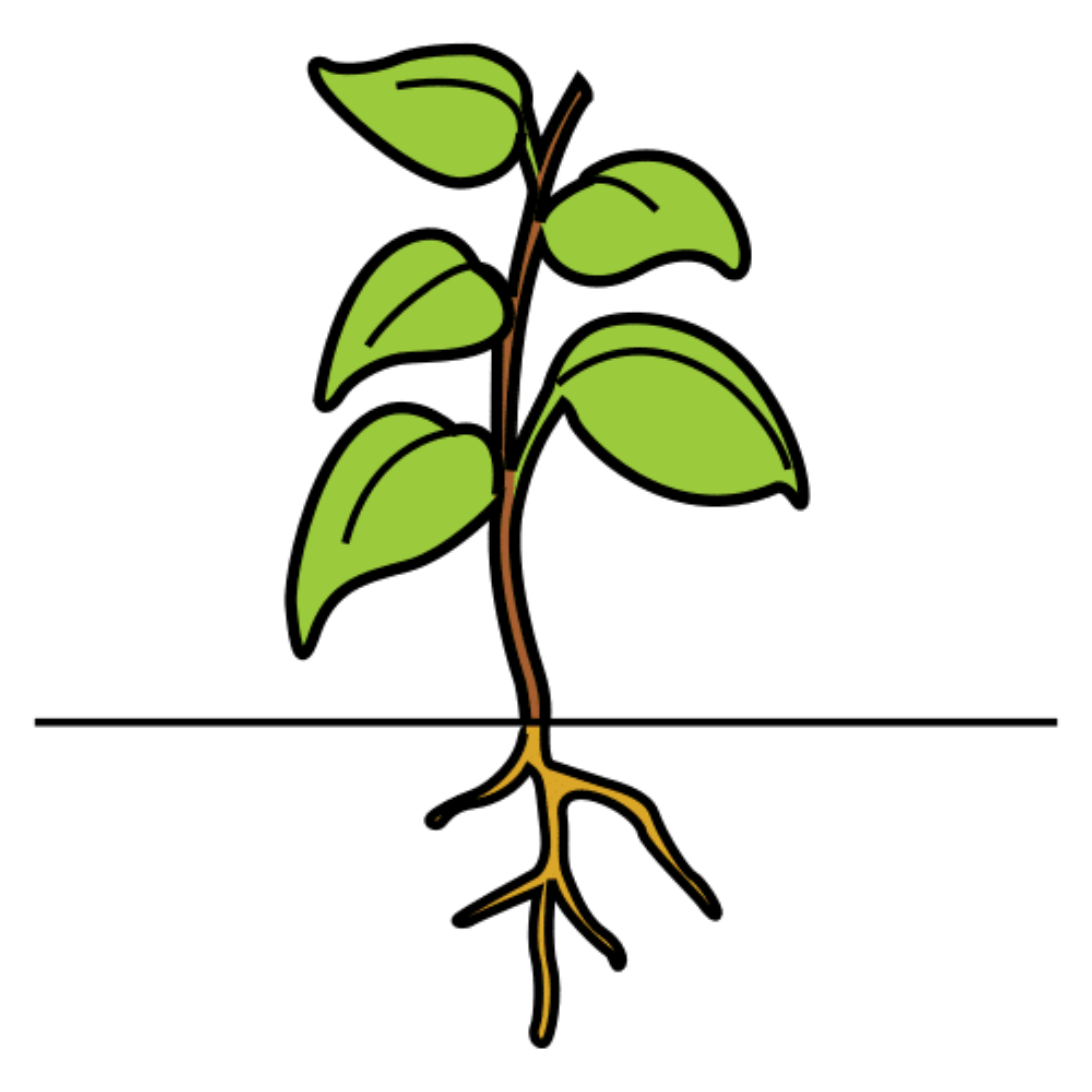 La imagen muestra una planta