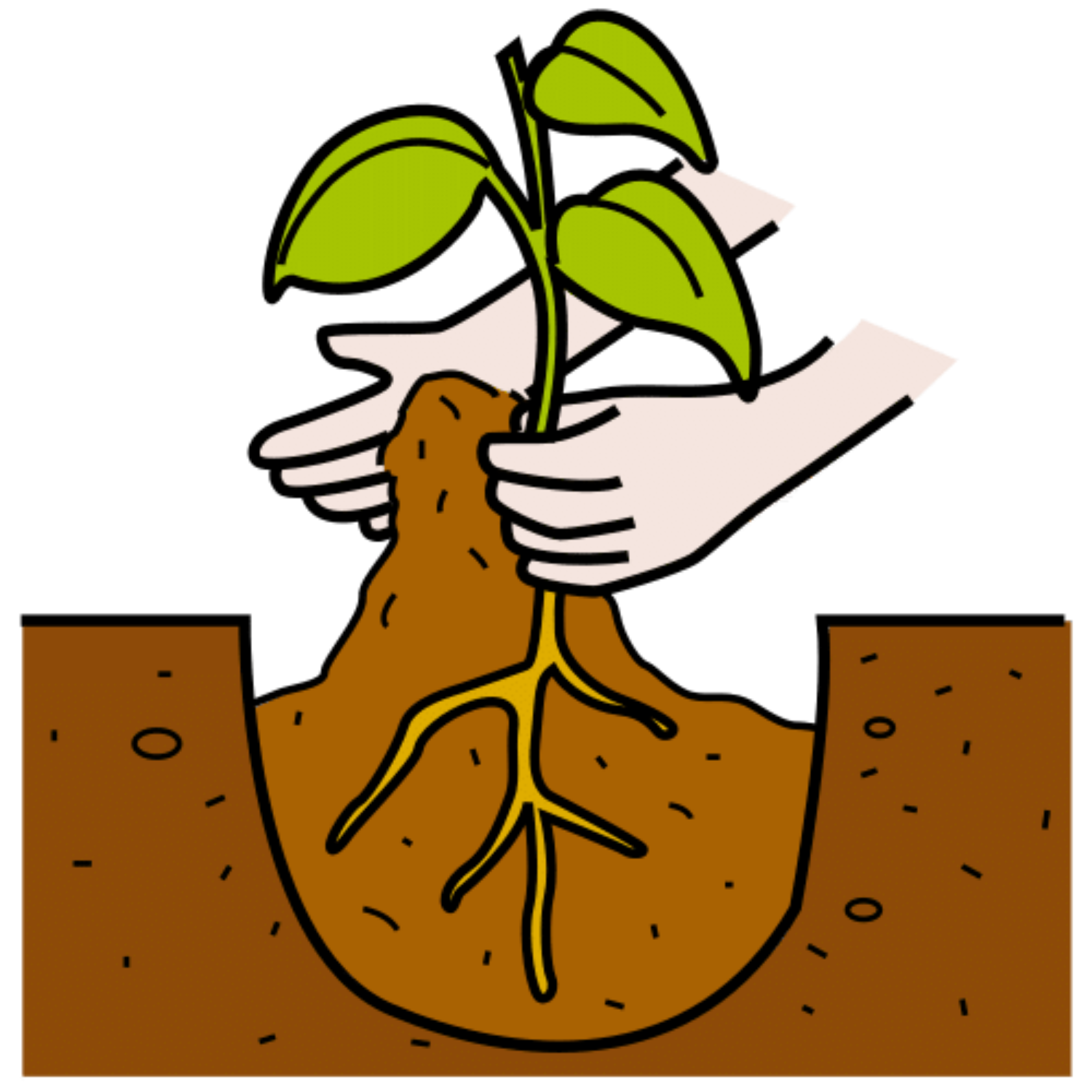 La imagen muestra unas manos sosteniendo una planta que ha sido sembrada.
