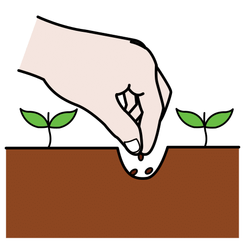 La imagen muestra una mano introduciendo semillas en un surco.