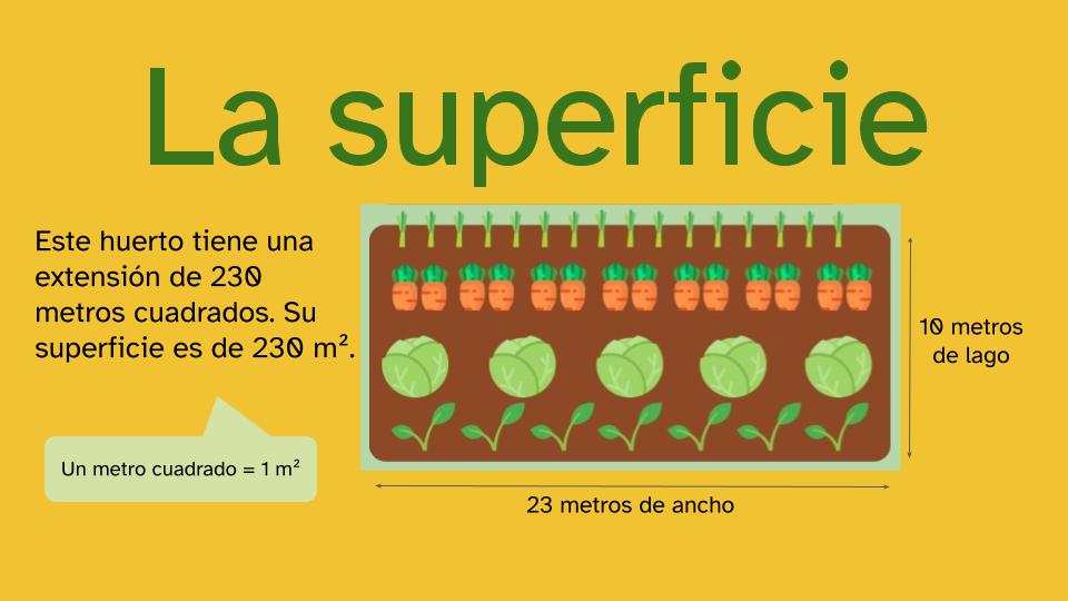 ilustración de un croquis de un huerto bajo el título 'la superficie'. En el croquis están señaladas sus dimensiones (23 me de ancho y 10 metros de largo). A la izquierda del croquis se explica que el huerto tiene una extensión de 230 metros cuadrados. Y que por lo tanto, su superficie es de 230 m². Además, se aclara mediante un bocadillo que un metro cuadrado se expresa así: 1m2