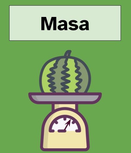 Ilustración de una balanza que está midiendo la masa una sandía.