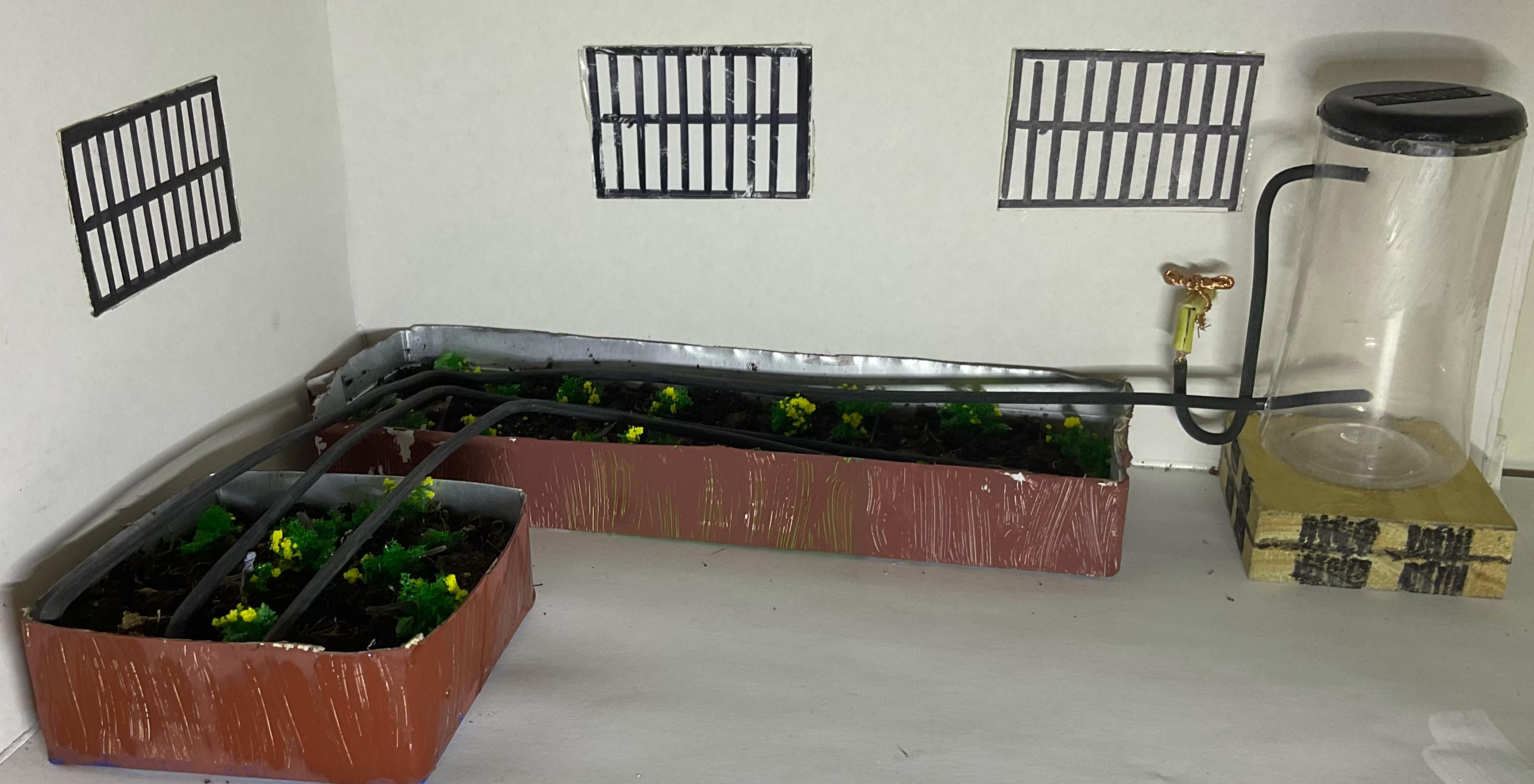 imagen de la maqueta del huerto finalizada siguiendo las indicaciones del boceto. Se observa que está situado entre dos paredes blancas. La de la izquierda con una ventana y la de la derecha con 2 ventanas. El suelo es blanco también. En el suelo, a la izquierda hay un cajón de huerto con forma cuadrada realizado con un envase, y a la derecha, más arriba, un cajón de huerto con forma rectangular realizado con el lateral de otro envase. Ambos cajones están pintados de marrón, están llenos de tierra y tienen unos cables que simular las mangueras del riego por goteo. A su derecha hay un grifo conectado con un depósito de agua realizado con un bote de especias