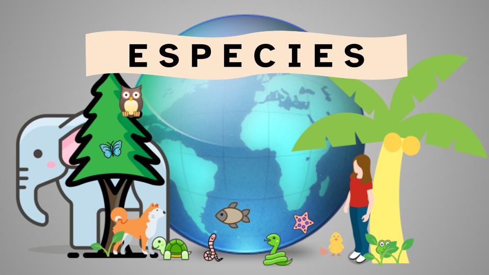 Ilustración del planeta Tierra rodeado de distintas especies de seres vivos.