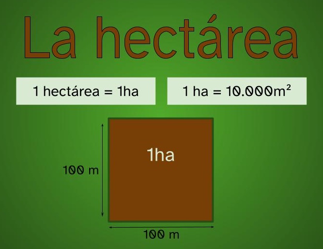 ilustración bajo el títlo la hectárea de un cuadrado de 100 metros de lado y en la que además aparecen dos recordatorios: 1 hectárea es igual a 1ha y una hectárea es 10.000 metros cuadrados