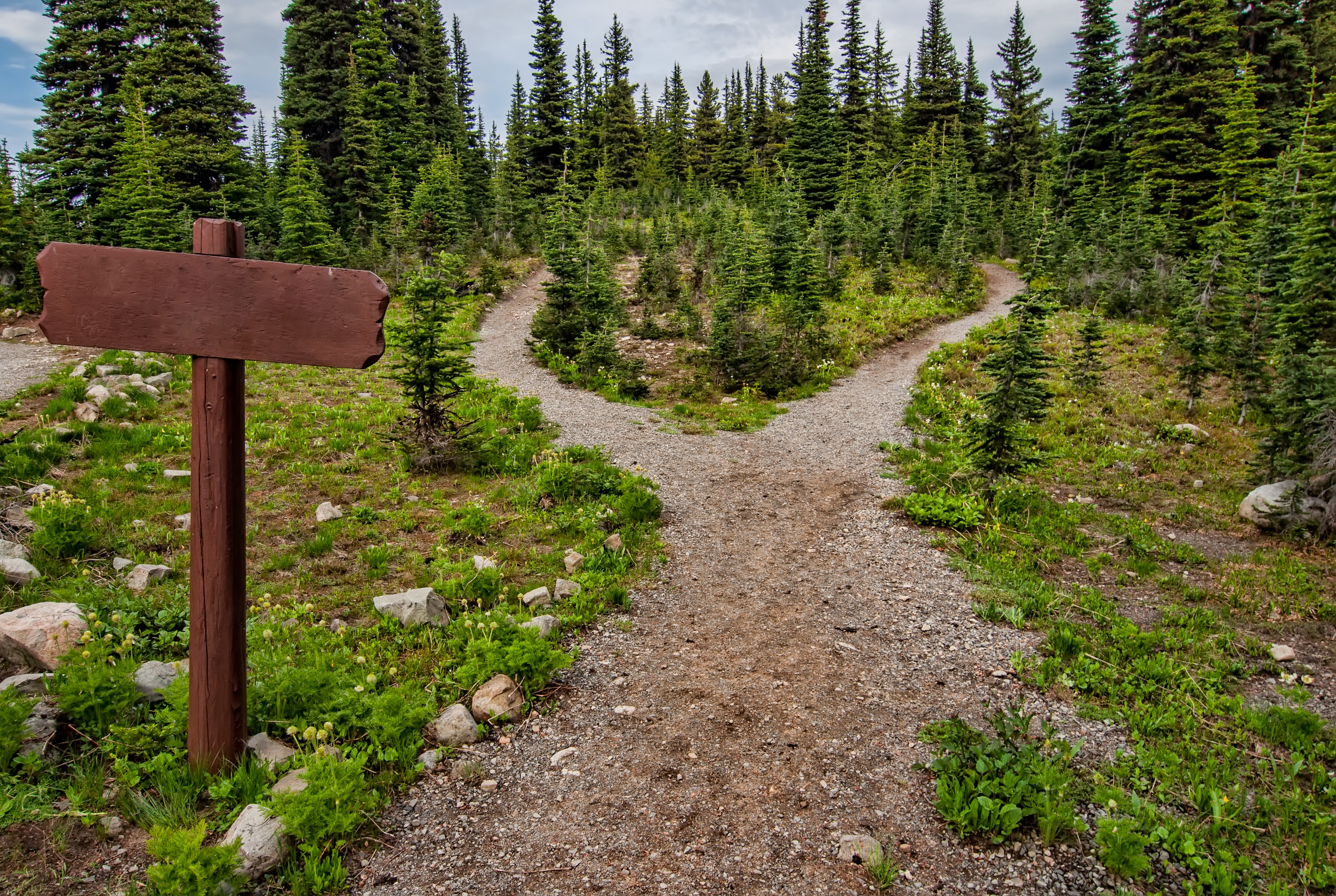 En la imagen se muestra un camino que se divide en dos en un bosque de árboles altos. A la izquierda de la imagen hay un cartel de dirección sin ninguna indicación.
