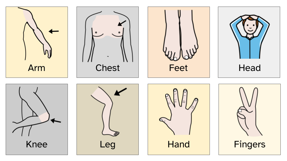 La imagen contiene las partes del cuerpo: brazo, pecho, pies, cabeza, rodilla, pierna, mano y dedos y se acompaña de la imagen de cada parte.