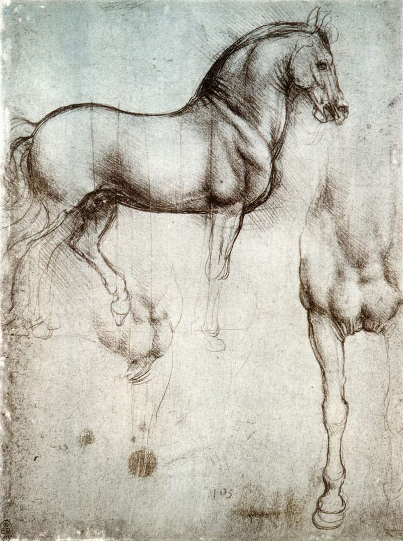 Estudio de un caballo (Leonardo) Estudio de un caballo (Leonardo)