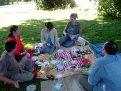 Picnic