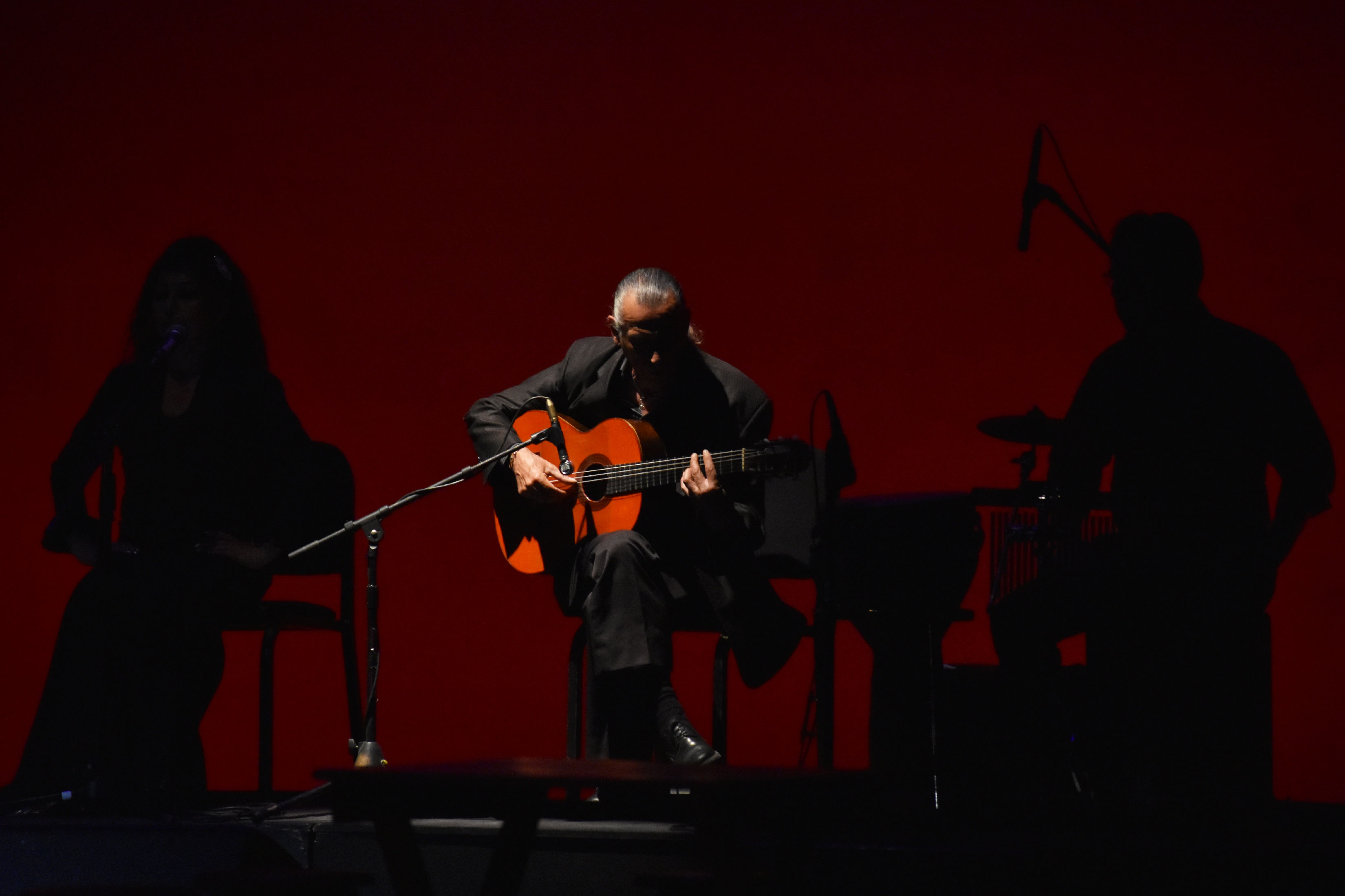 Guitarrista flamenco
