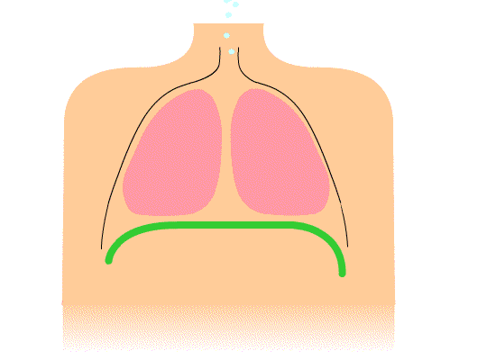 respiracion