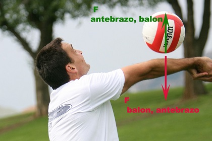 Antebrazo balón