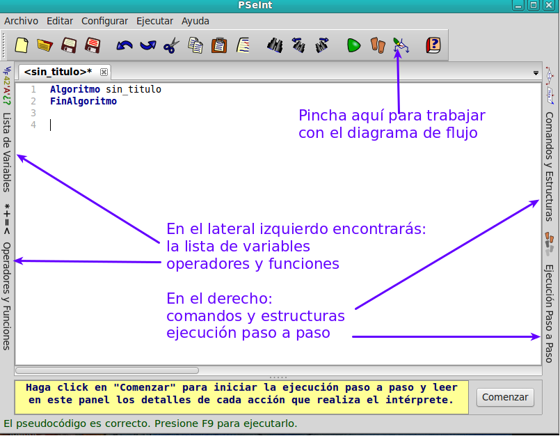 Entorno de trabajo PSeint