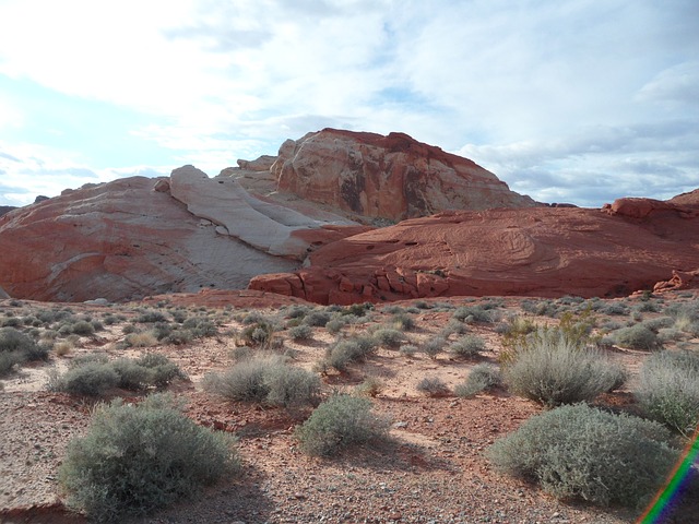 Desertización