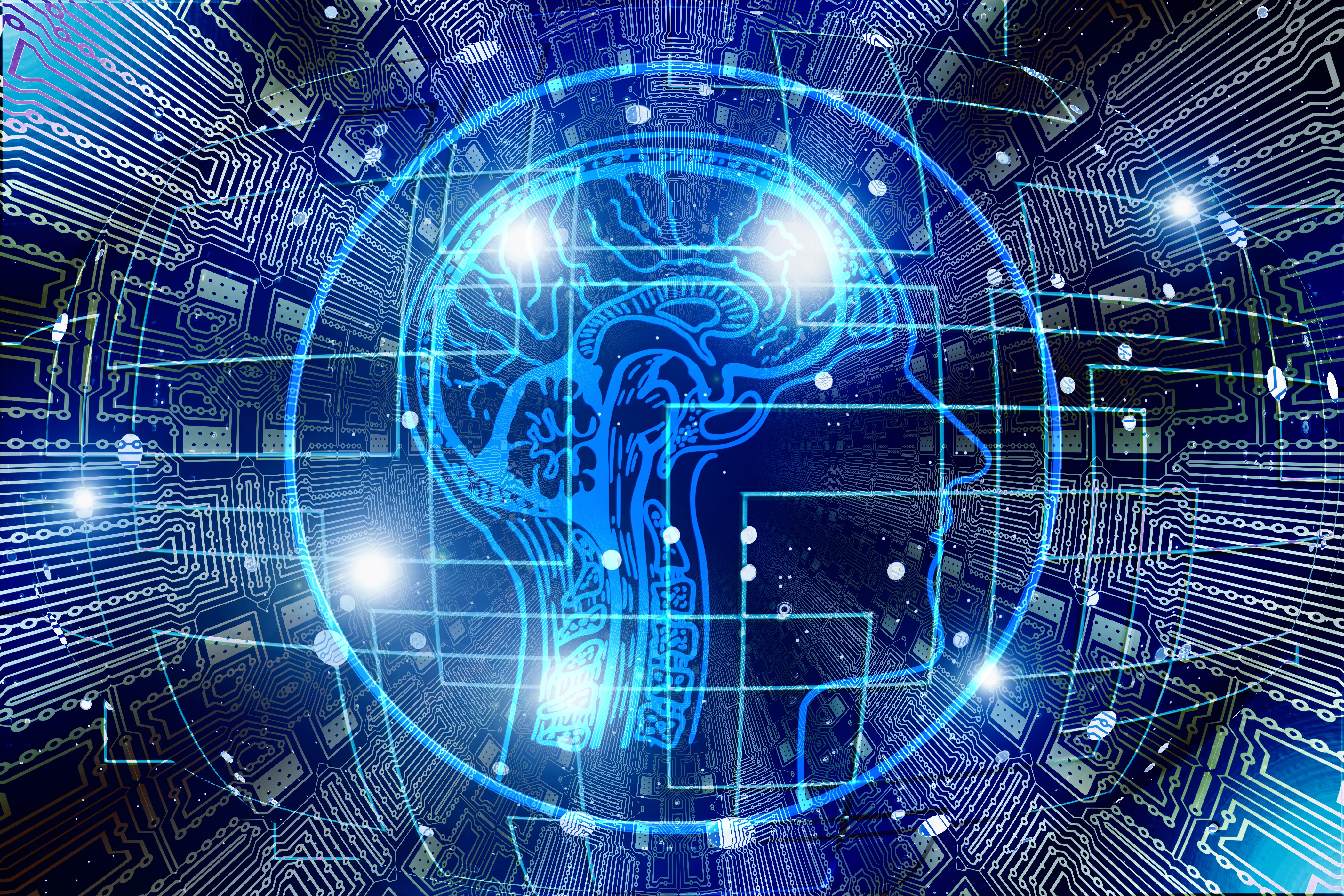 Imagen que muestra una silueta de perfil de una cabeza humana en la que se transparenta el cerebro. Fondo azul