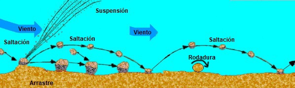 Transporte por el viento