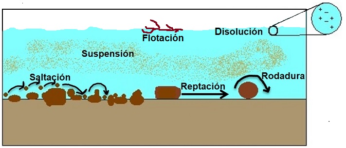 Transporte acuoso