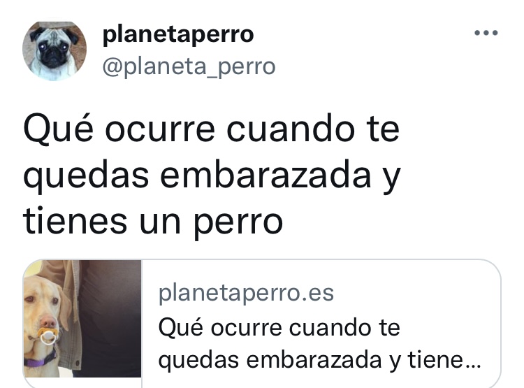 Titular 7