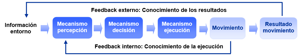 Esquema del modelo de ejecución motriz de Marteniuk (1976, tomado y adaptado de Sánchez Bañuelos, 1986, p. 55) Esquema del modelo de ejecución motriz de Marteniuk (1976, tomado y adaptado de Sánchez Bañuelos, 1986, p. 55)
