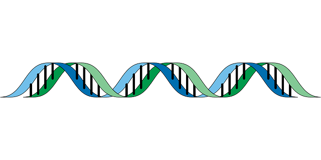 ADN