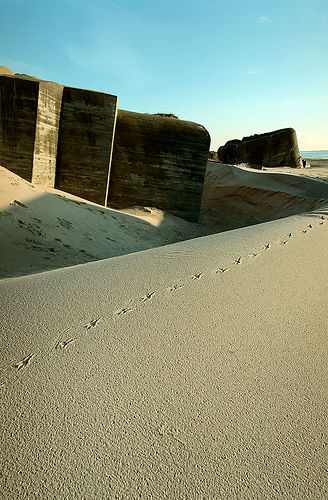  Las dunas litorales están a punto de cubrir un antiguo bunker costero.