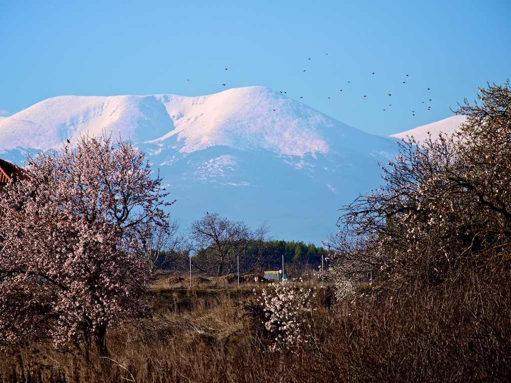 El Moncayo, con 2.313 metros de altitud, es el pico más elevado del Sistema Ibérico