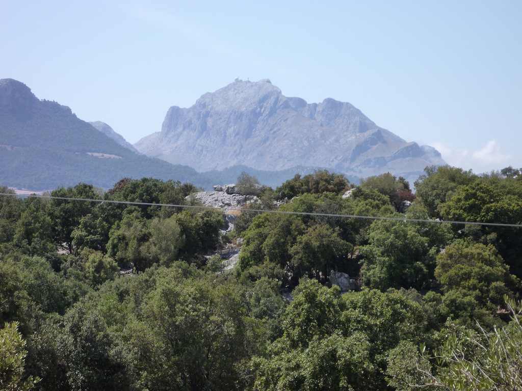 El pico más elevado de las islas Baleares es el Puigmajor en la isla de Mallorca.