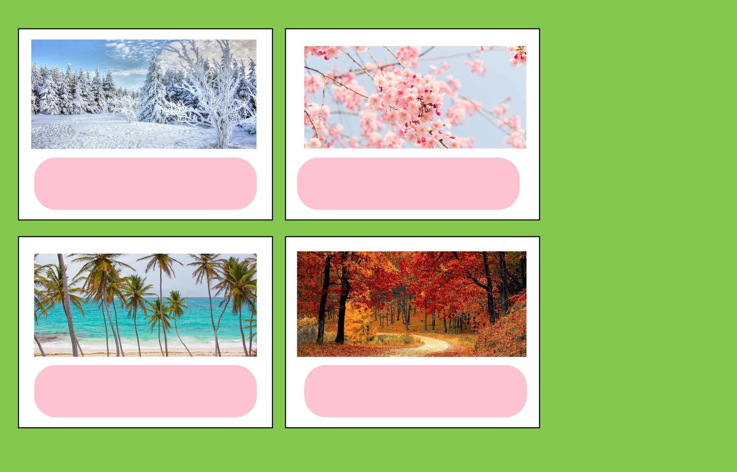 La imagen muestra una composición de cuatro imágenes de verano,primavera invierno y otoño